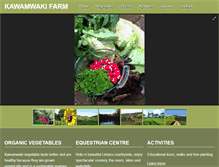 Tablet Screenshot of kawamwaki.com